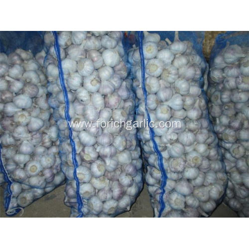 2020 Crop Fresh Normal White Garlic